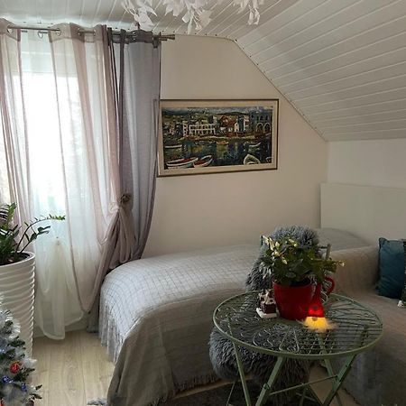 Ferienwohnung Pension Am Berg فيلينغن سشفايننغ المظهر الخارجي الصورة