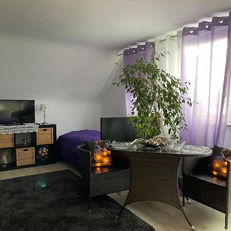 Ferienwohnung Pension Am Berg فيلينغن سشفايننغ المظهر الخارجي الصورة